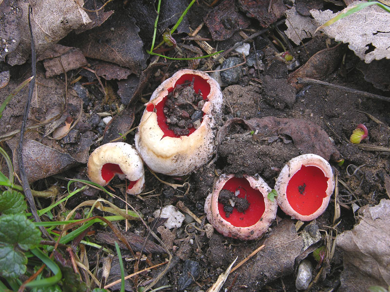 Qualche segno di vita....